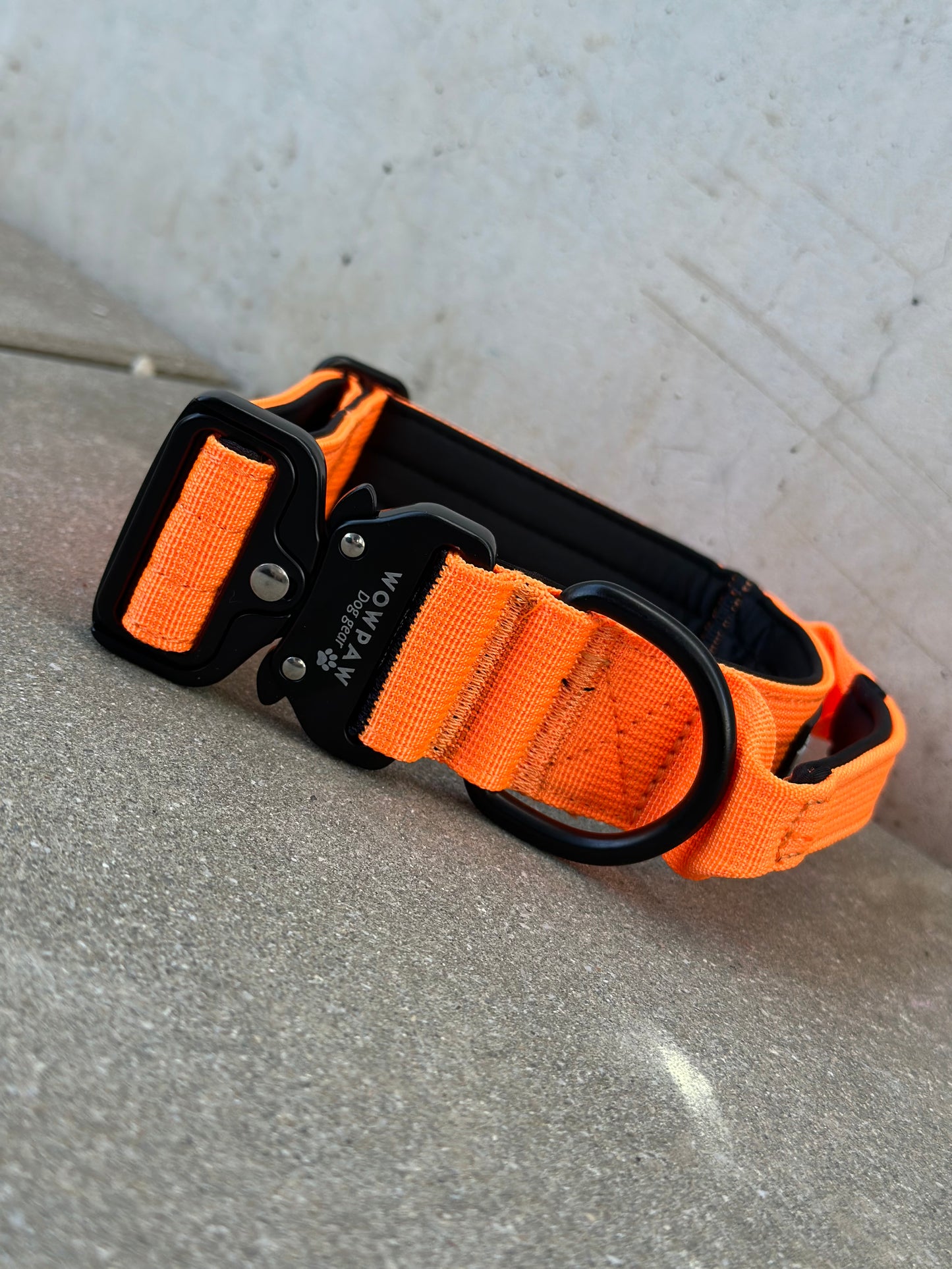 Hochwertiges taktisches Hundehalsband Neonorange Größe M Breite 3,8cm