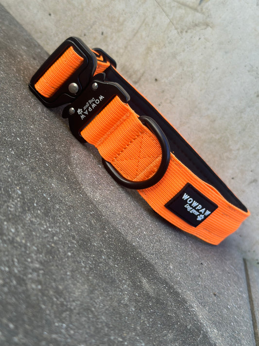 LED-Hundehalsband Neonorange Größe S