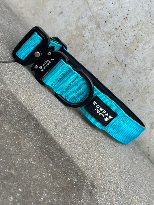 LED-Hundehalsband Hellblau Größe M Breite 3,8cm