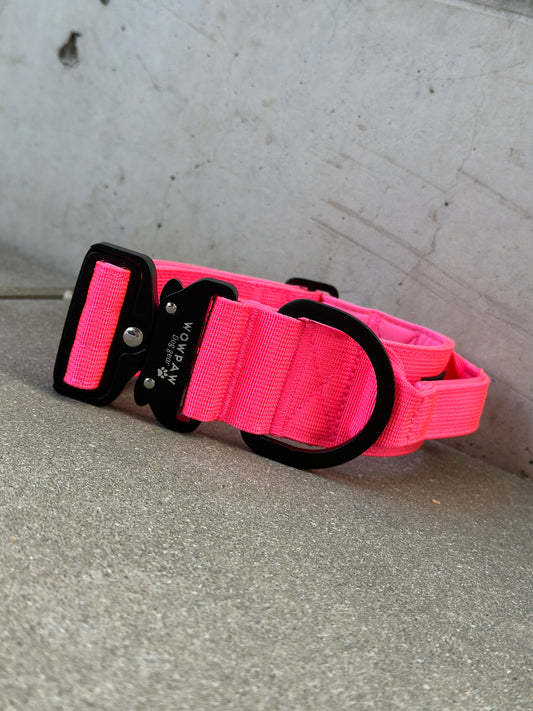 Hochwertiges taktisches Hundehalsband 5cm ULTRA LIGHT Neonpink Edition Größe M