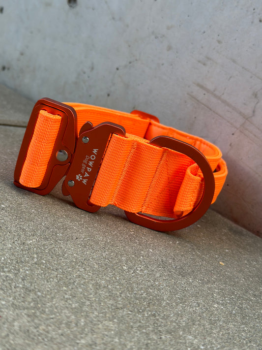 Hochwertiges taktisches Hundehalsband 5cm ULTRA LIGHT Neonorange Edition Größe S