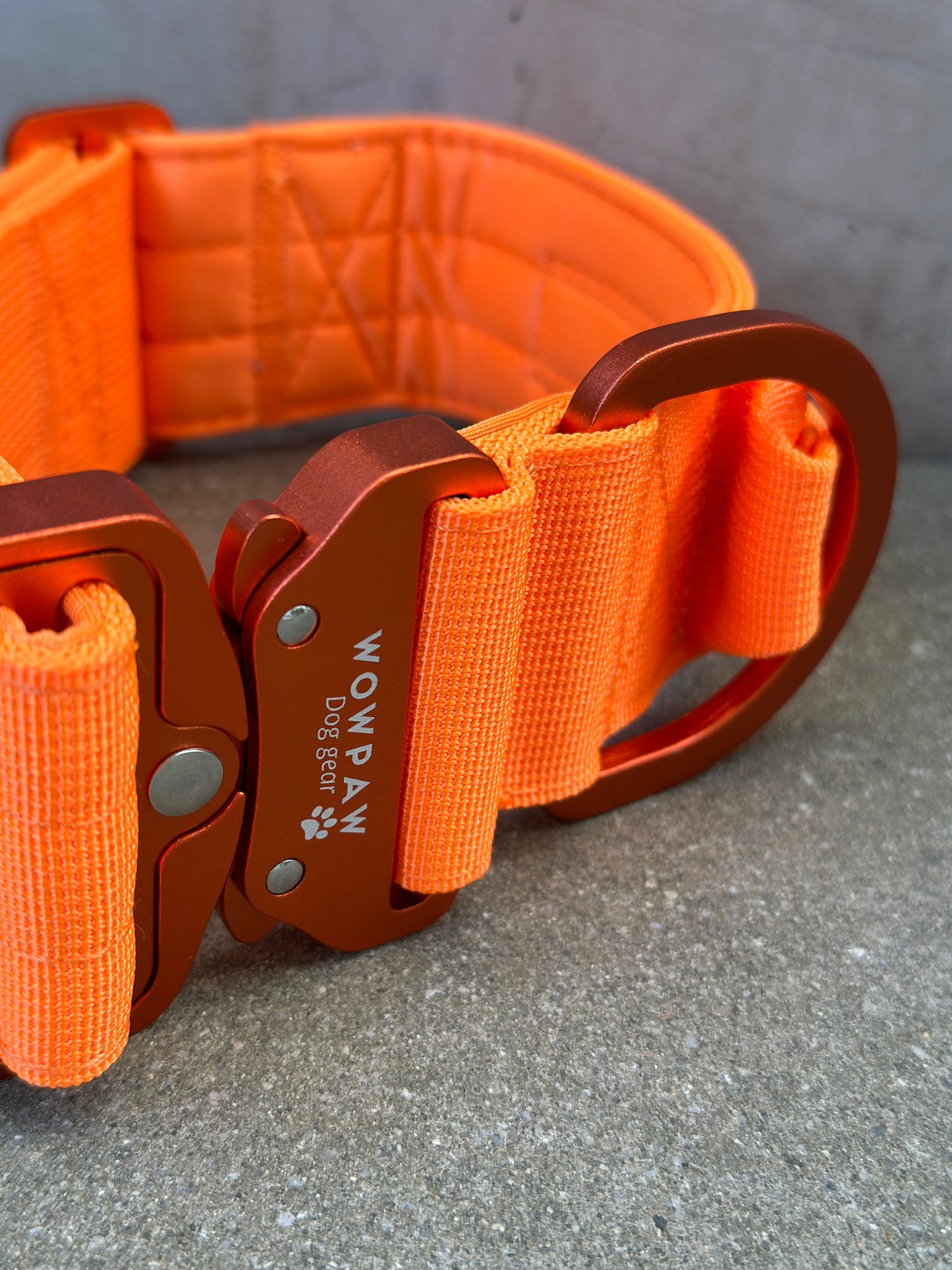 Hochwertiges taktisches Hundehalsband 5cm ULTRA LIGHT Neonorange Edition Größe M