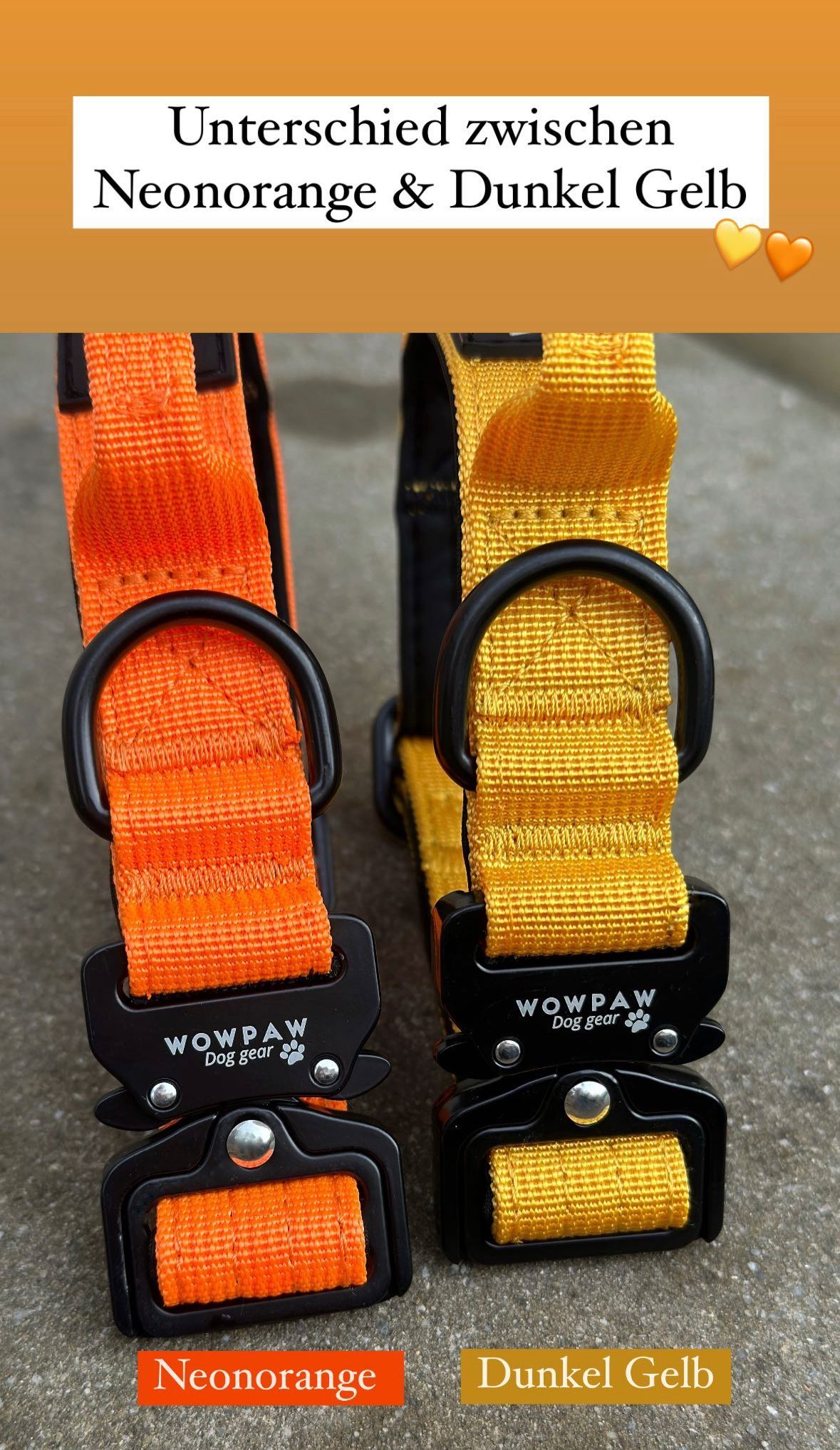 Hochwertiges taktisches Hundehalsband XS 2,5cm Neonorange