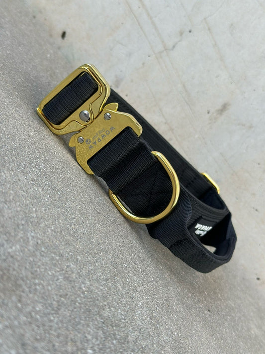 Hochwertiges taktisches Hundehalsband Schwarz x Gold Größe S Breite 3,8cm
