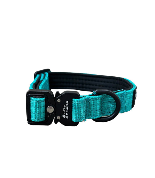 Hochwertiges taktisches Hundehalsband XXS 2cm Türkis