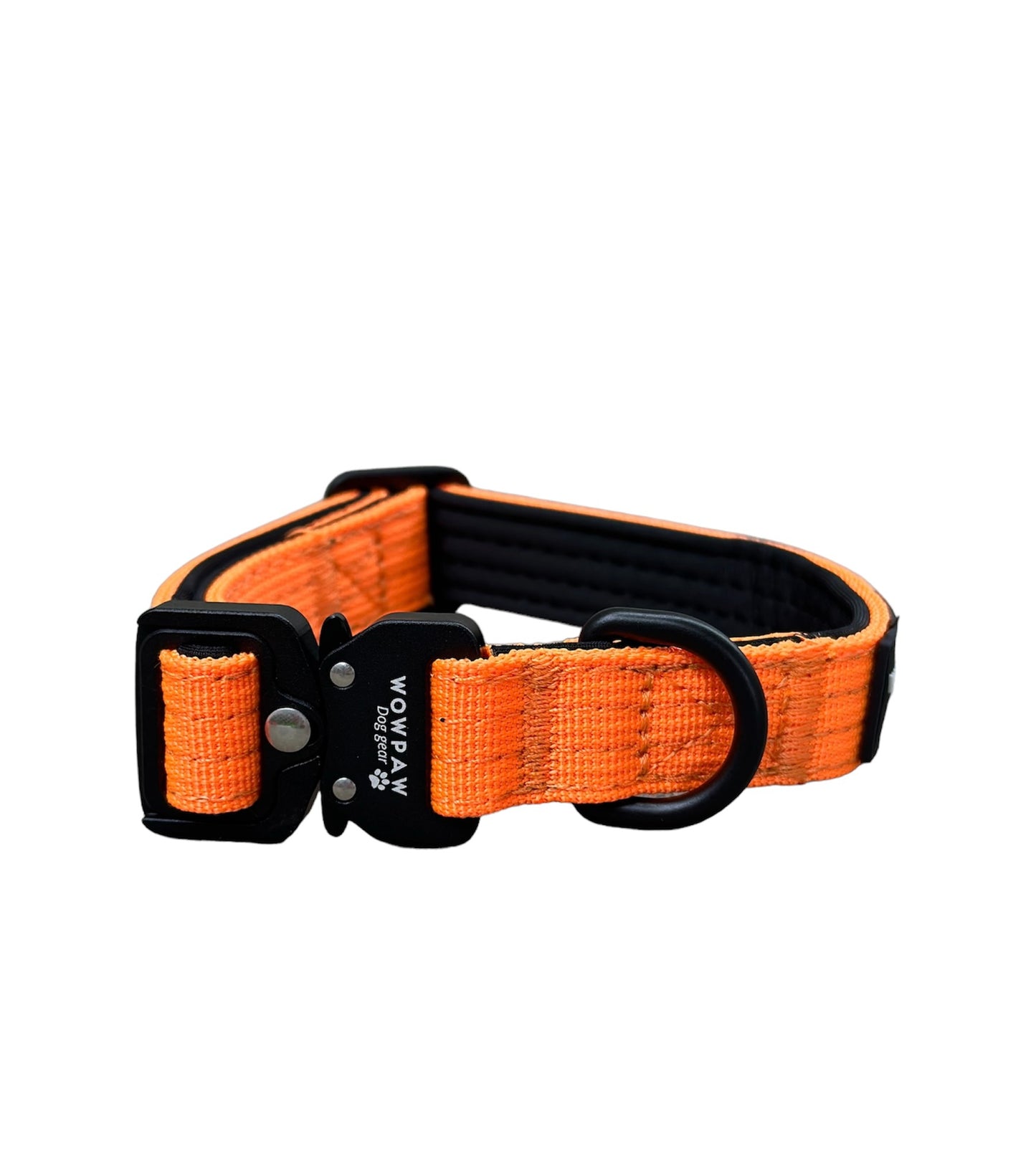 Hochwertiges taktisches Hundehalsband XXS 2cm Neonorange