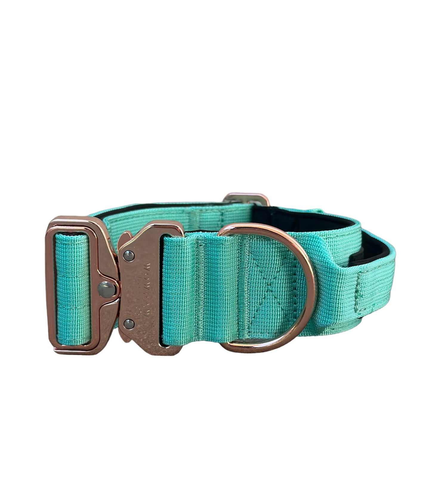 Hochwertiges taktisches Hundehalsband Mint X Rosegold Größe S