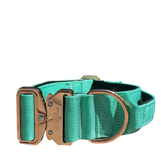 Hochwertiges taktisches Hundehalsband Mint X Rosegold Größe M