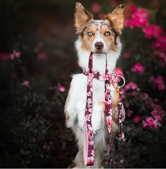 KETTU Halbzug Hundehalsband Violet Kitsune