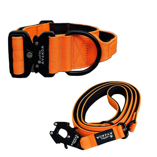 Set Taktisches Hundehalsband Neonorange Größe M & taktische Hundeleine Neonorange