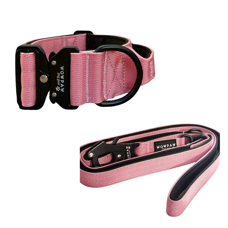 Set Taktisches Hundehalsband Rosa Größe S & taktische Hundeleine Rosa