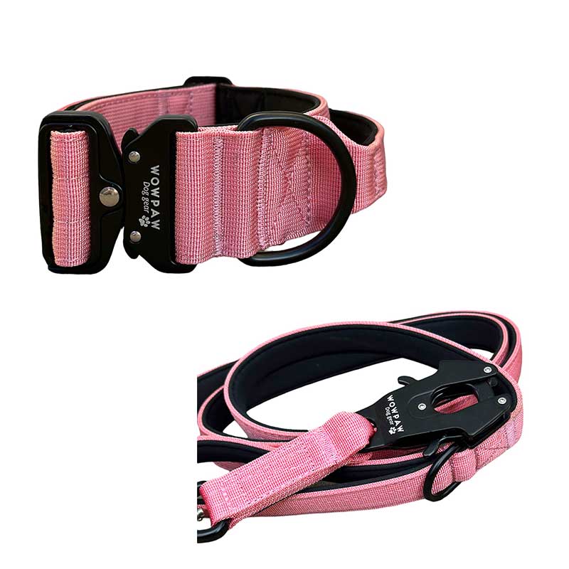 Set Taktisches Hundehalsband Rosa Größe M & taktische Hundeleine Rosa