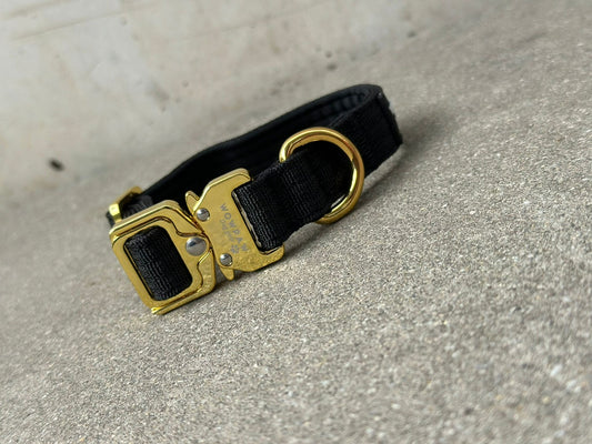 Taktisches Hundehalsband Schwarz x Gold XXS