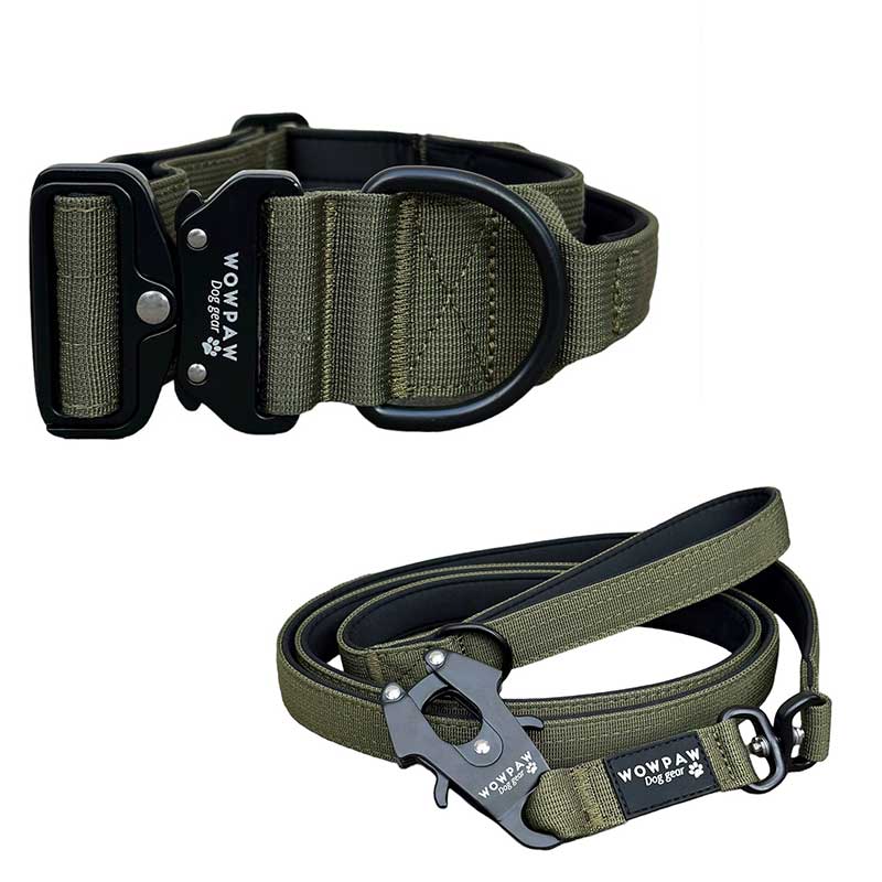 Set Taktisches Hundehalsband Army green Größe M & taktische Hundeleine Army green