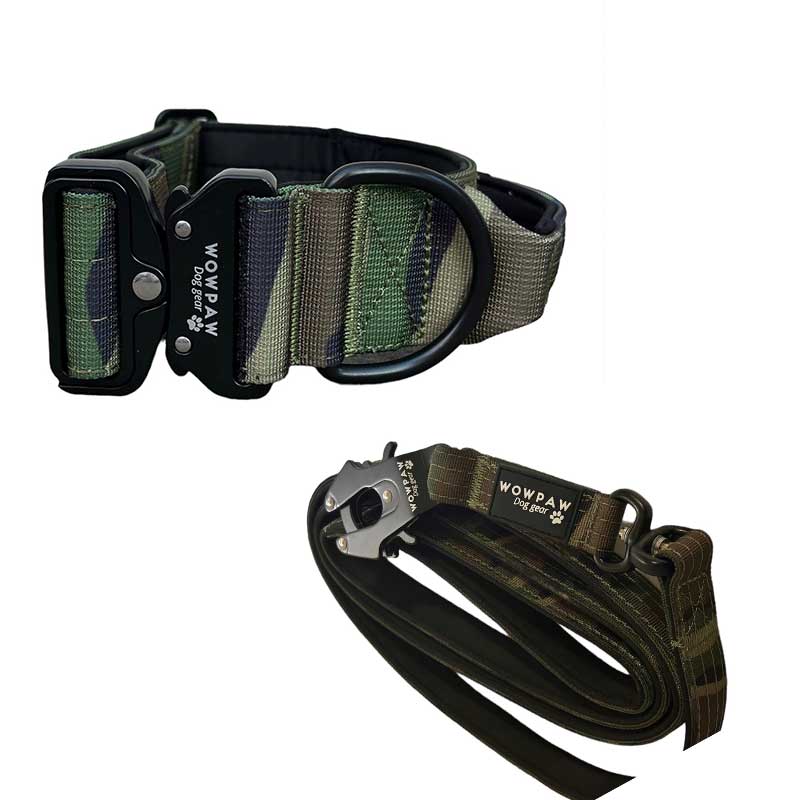 Set Taktisches Hundehalsband Army green Camouflage Größe S & taktische Hundeleine Army green Camouflage