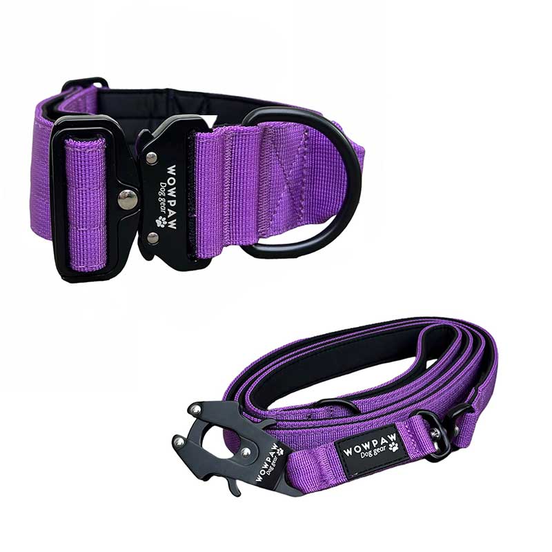 Set di collare tattico per cani viola scuro taglia S e guinzaglio tattico per cani viola scuro