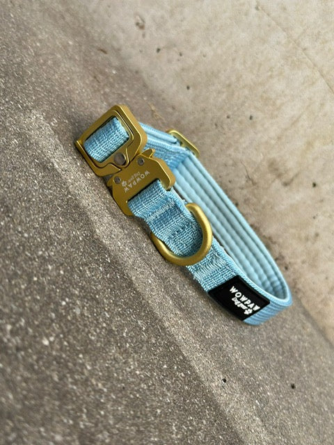 Taktisches Hundehalsband ULTRA LIGHT Sky Blue Edition XS