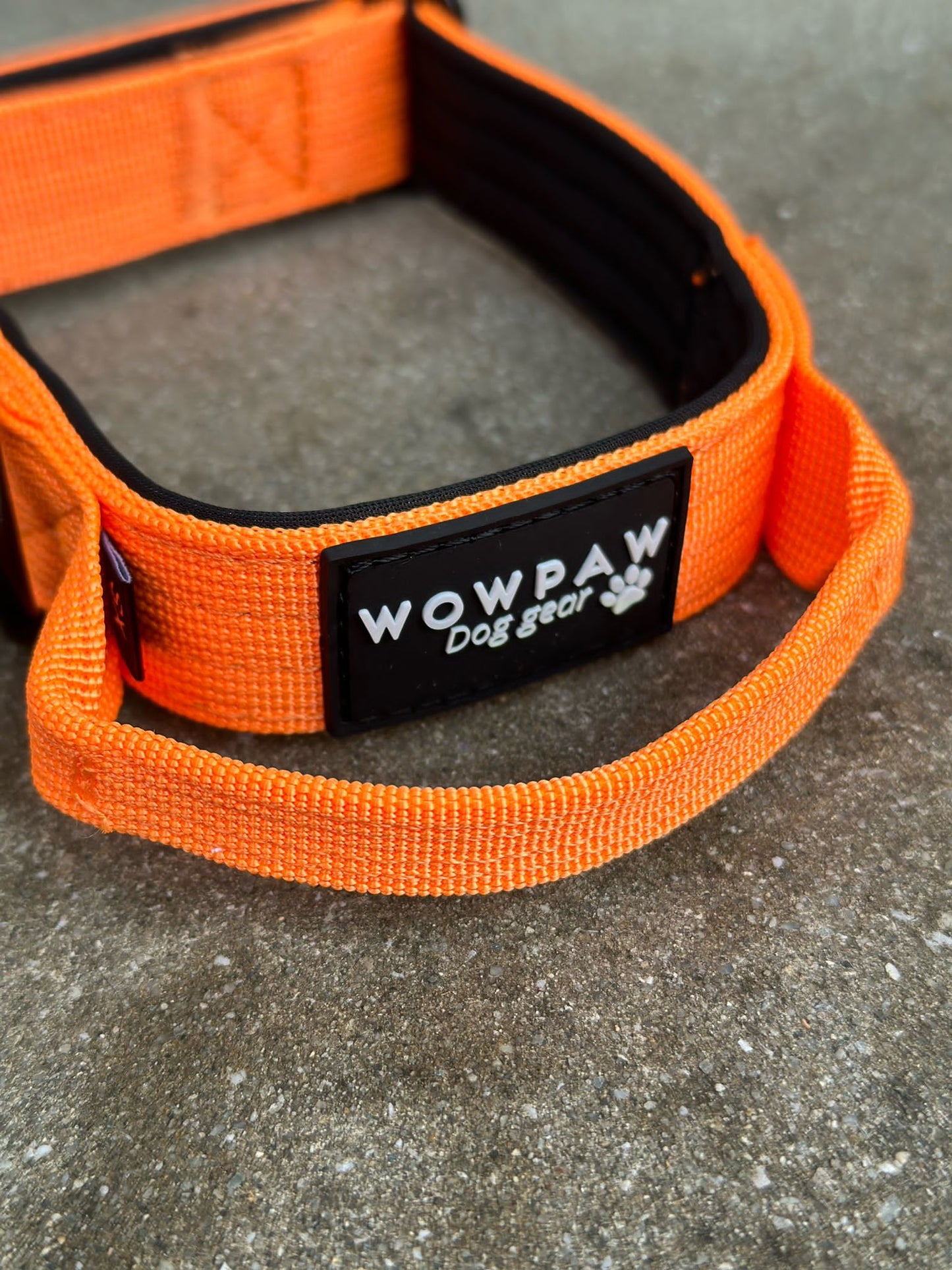 Hochwertiges taktisches Hundehalsband XS 2,5cm Neonorange