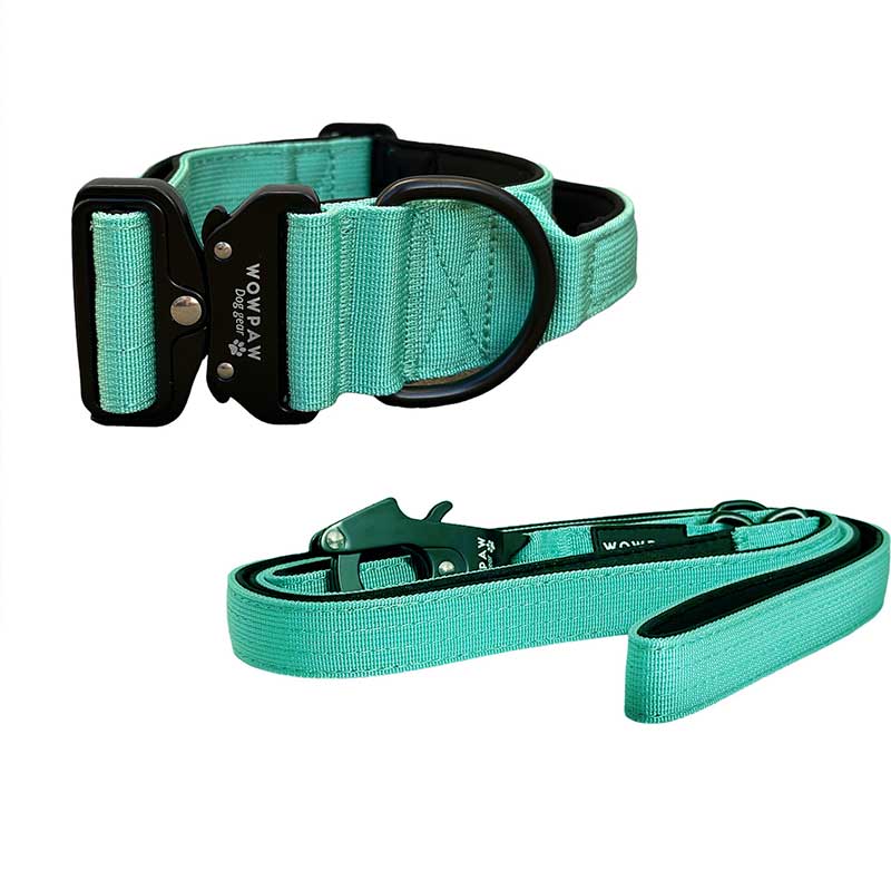 Set Taktisches Hundehalsband Mint Größe M & taktische Hundeleine Mint